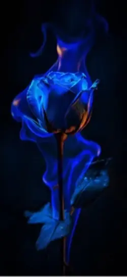wallpaper