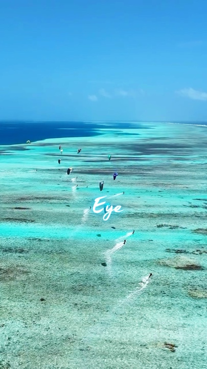 14 clipes ou fotos