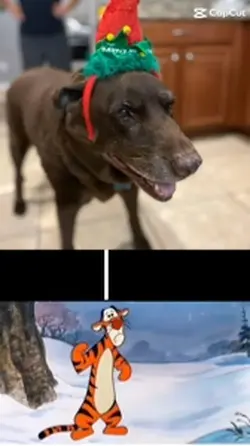 Rest in peace my dog