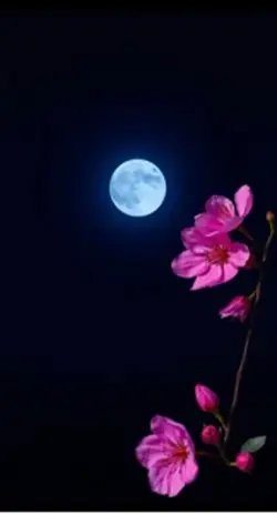 Oración de la noche 