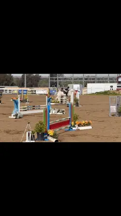 Equestrian slomo ❤️