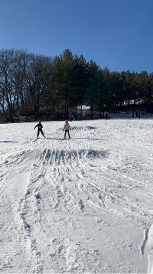 Noyau de ski 