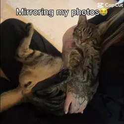Mirroring my photos