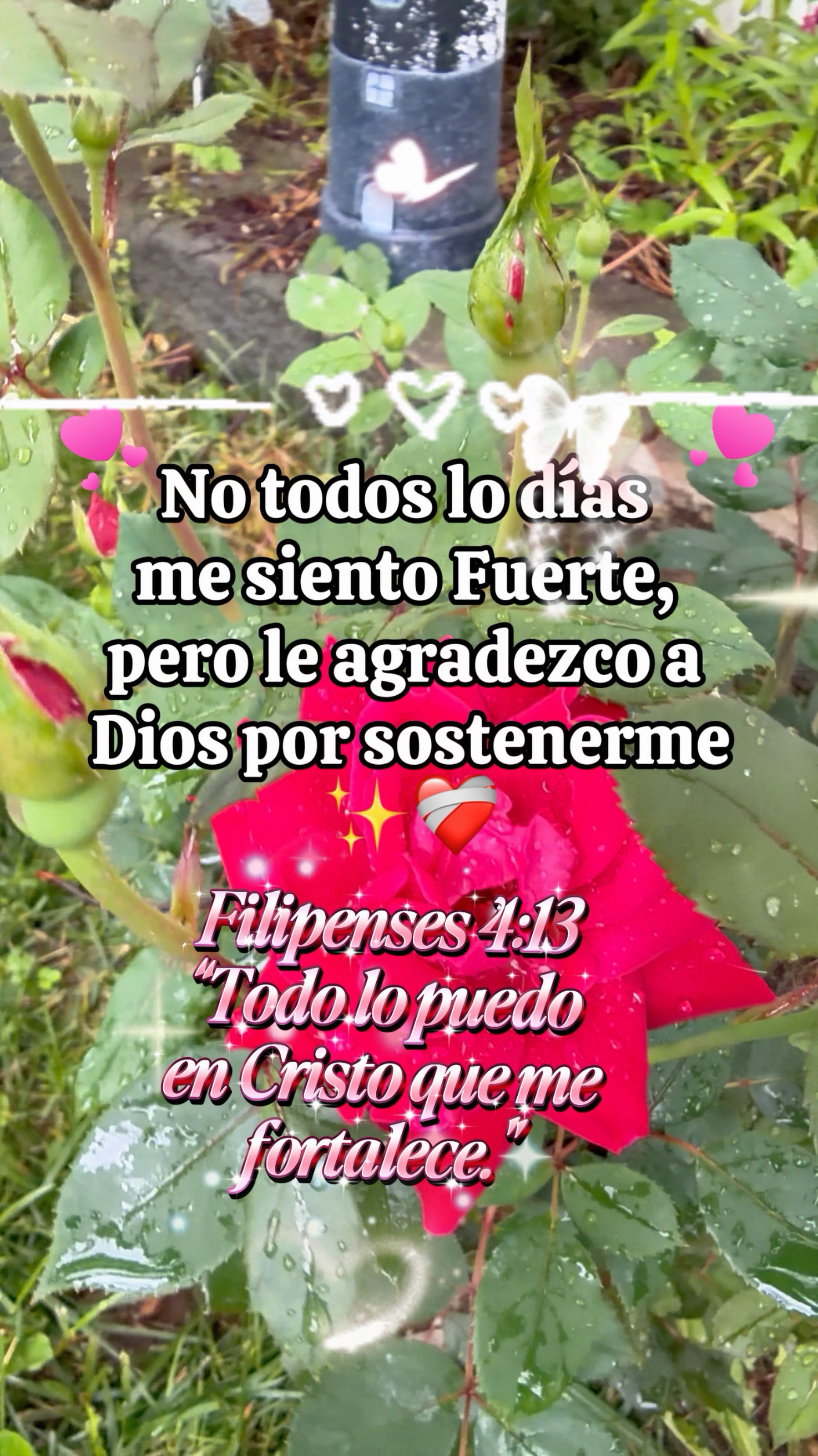 ❤️‍🩹🙏
