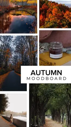 Autumn MoodBoard 