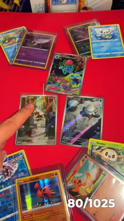 Pokédex Binder