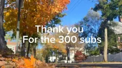 300 subs