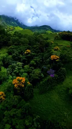 Nature vibes