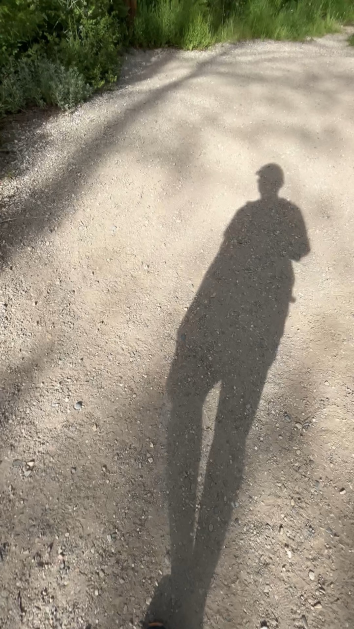 Daily Outdoor walks 