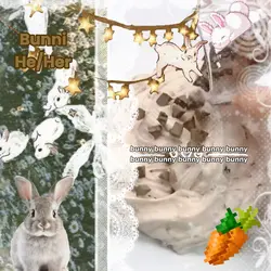 bunny bunny bunny 