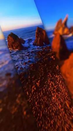 24 clips or photos