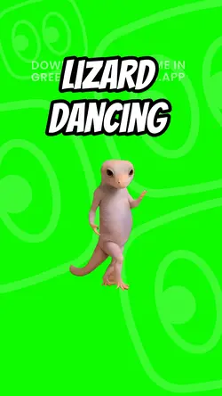 Lizard dancing 