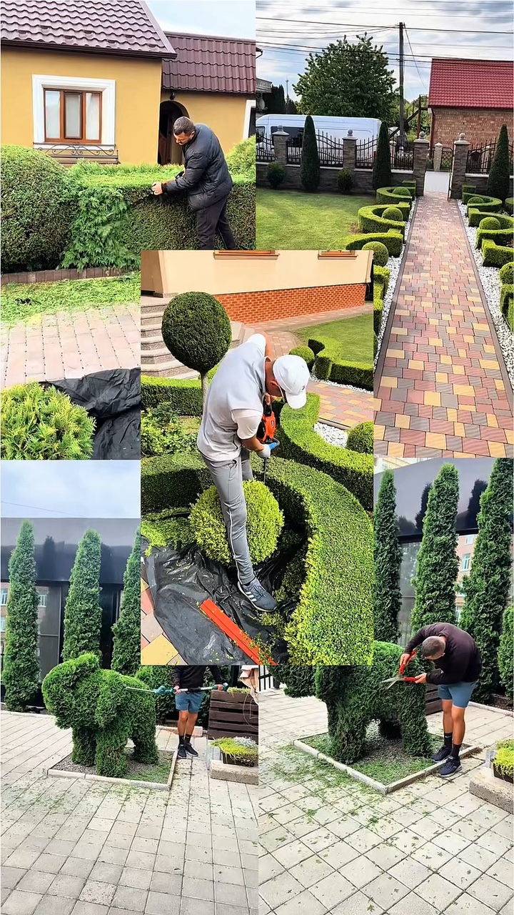 Gardening