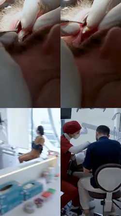 dentista