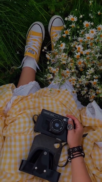 15 clipes 
