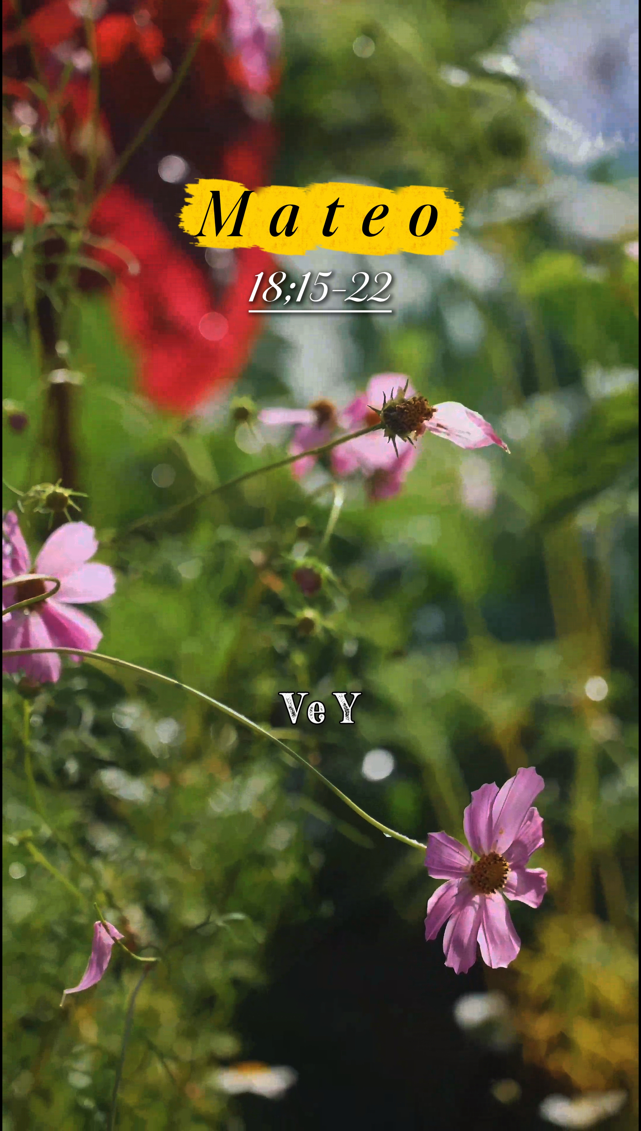 Mateo 18; 15-22