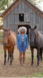 Mis caballos 