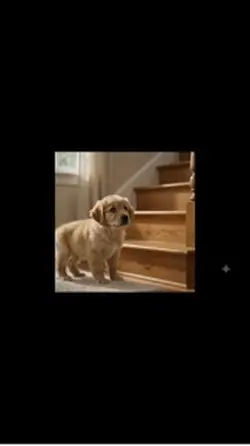 Cutest Pet