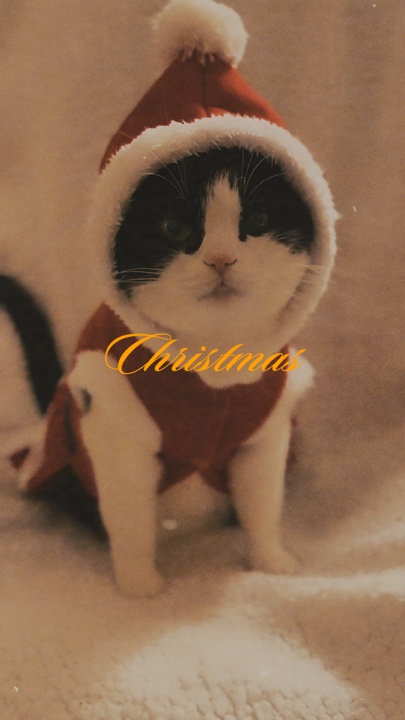 Animal de estimação de natal