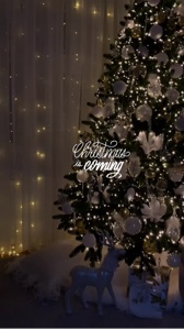 O Natal está chegando 