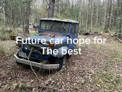 Future cars/trucks