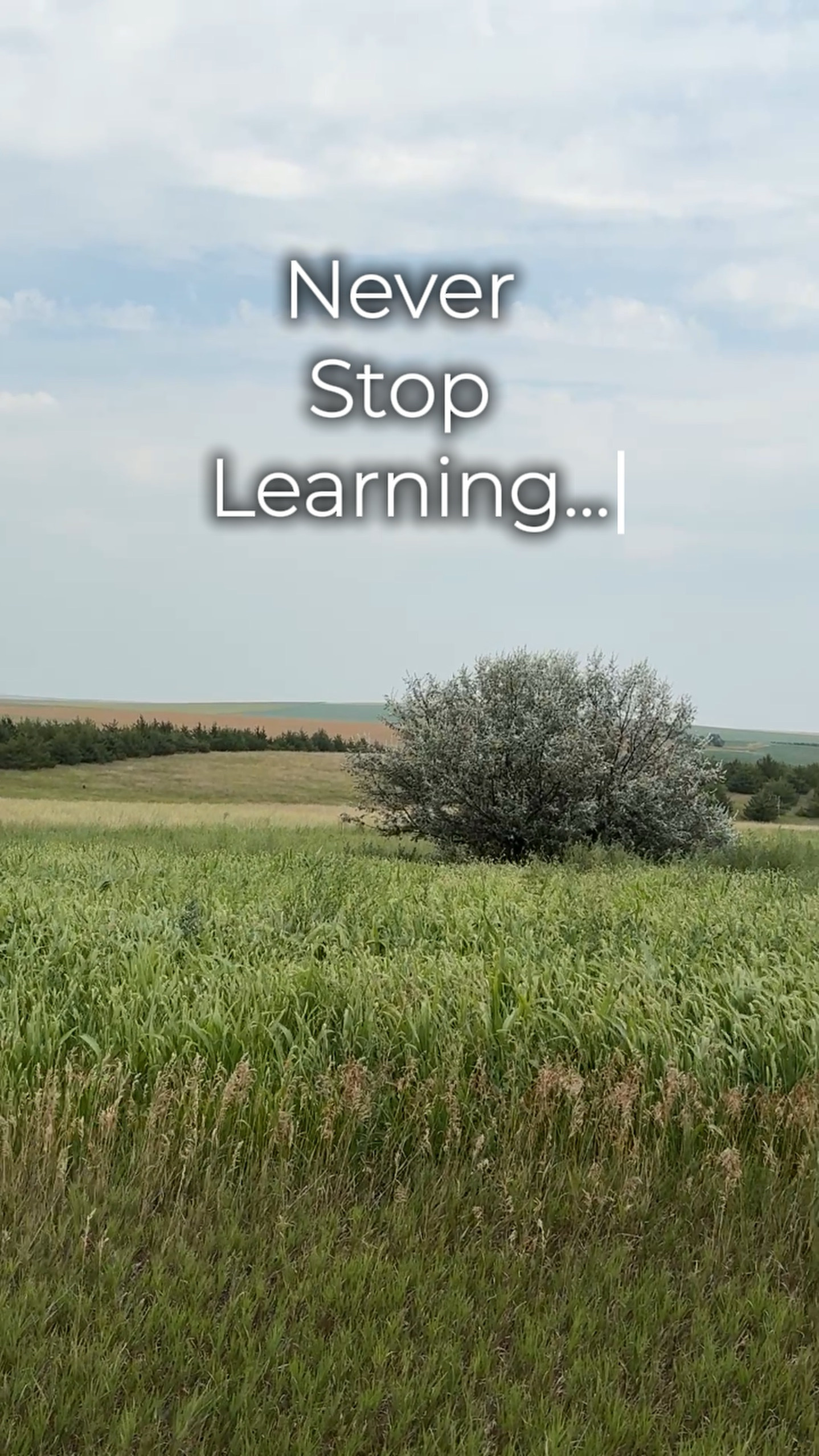 Always Learning