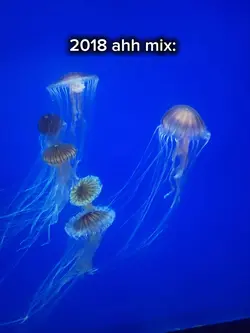 2018 edit 