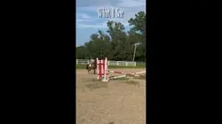 Non horsey friend
