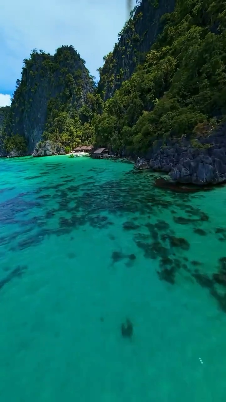 5 Videos Or Photos