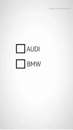Audi,bmw