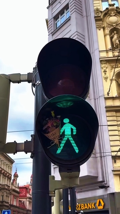 8 videos o fotos 