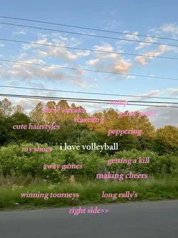 volleybal