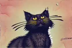 black cat
