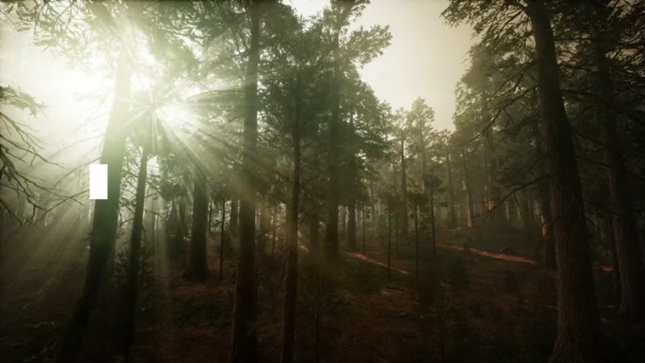 Viaje de la naturaleza 