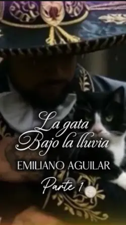 La gata bajo la lluv