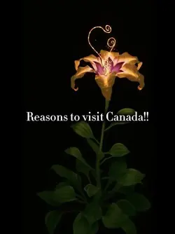 Kalogeras Canada!