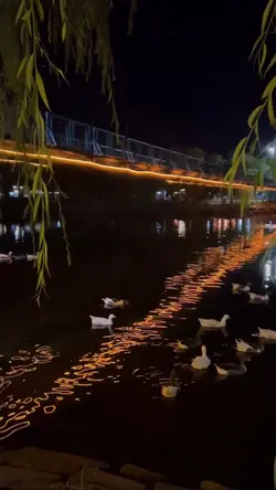 ជីវិត​មាន​ពេល​តិច