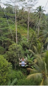 August in the Jungle