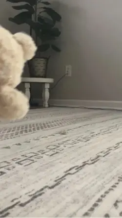Jellycat