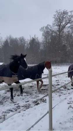 I have this weird fe