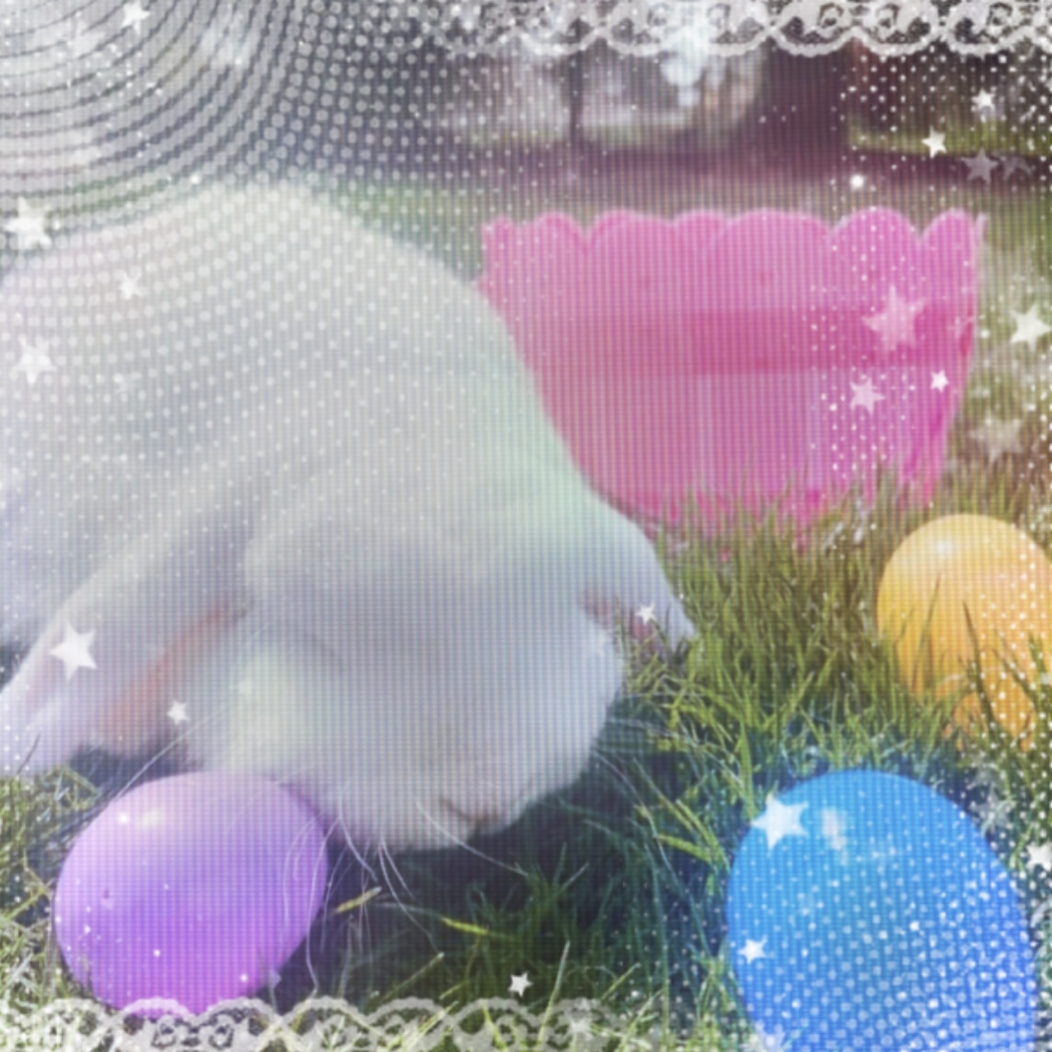 FELICES PASCUAS