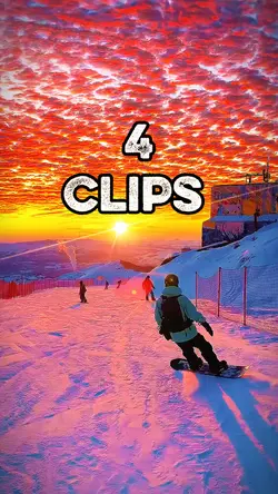 4 videos or photos 