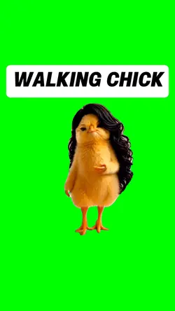 WALKING CHICK