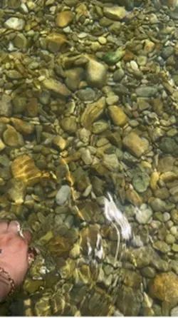Cb