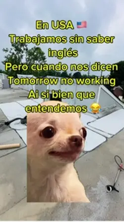 Tomorrow no working