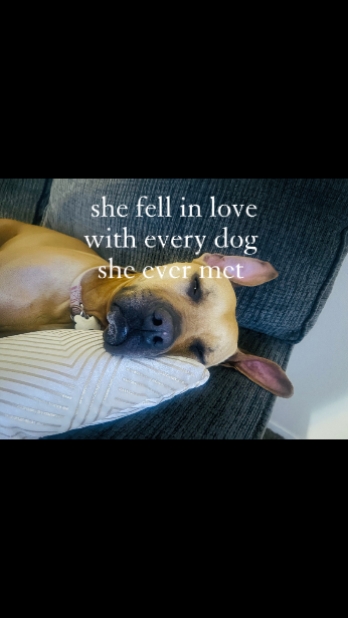köpekler < 3