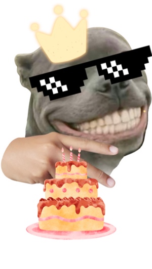 Bday