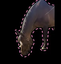 Equestrian Bingo