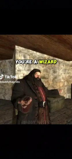 Hermione is a wizard