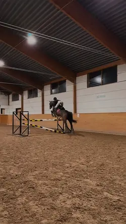 show jumping